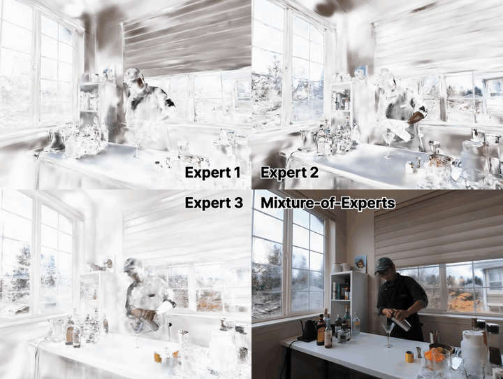 MoE-GS dynamic Gaussian Splatting results